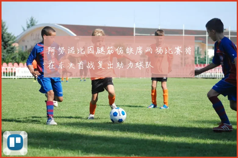 阿努诺比因腿筋伤缺席两场比赛将在东决首战复出助力球队
